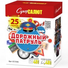 Салют Дорожный патруль в Пензе